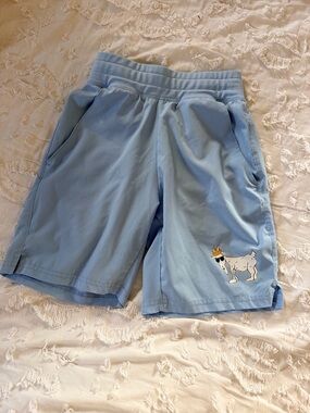 Goat USA Boys Shorts Youth Small Light Blue Athletic Casual
